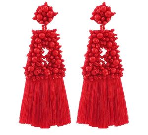 Bohemian Beaded Tassels